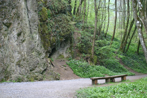 Forest trail with a bench and rock face near 'Le Chalet Chaleureux A' chalet in Belgium.