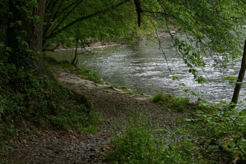 Riverside path lined with green foliage and trees at a glamping accommodation, tranquil nature scene.