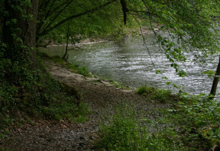 Pfad am Fluss mit üppigem Grün und Bäumen bei einer Glamping-Unterkunft, ruhige Naturlandschaft.