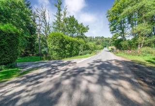 Road surrounded by lush greenery near Le Chalet Chaleureux A in Belgium, captured on a bright sunny day.