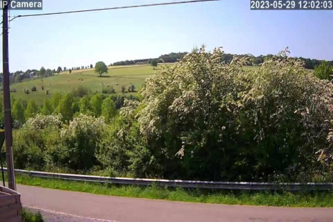 View from Le Chalet Chaleureux A in Belgium, featuring lush fields, flowering bushes, and a clear sky.