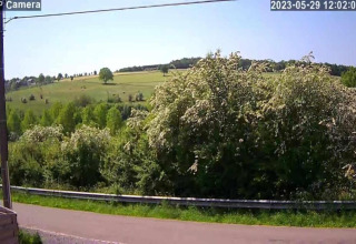 View from Le Chalet Chaleureux A in Belgium, featuring lush fields, flowering bushes, and a clear sky.