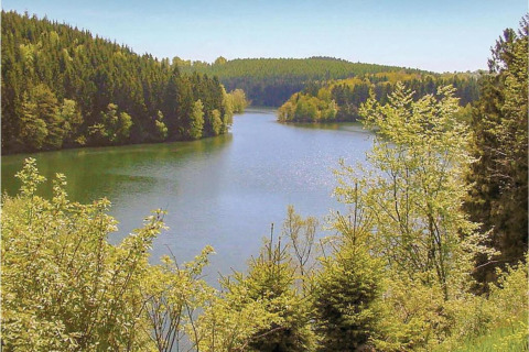 Scenic view of a lake surrounded by lush green forests, seen from Le Chalet Chaleureux A in Belgium.