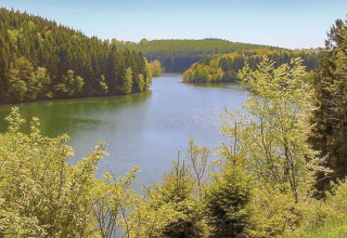 Scenic view of a lake surrounded by lush green forests, seen from Le Chalet Chaleureux A in Belgium.