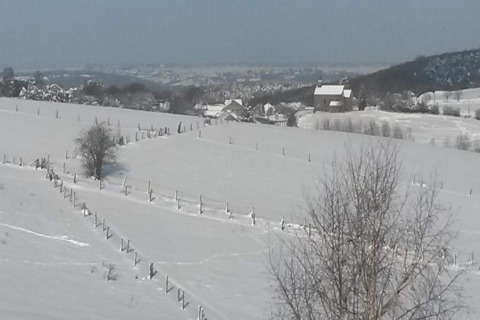 Snow-covered landscape with fences, trees and chalet 'Le Chalet Chaleureux A' in Belgium on a bright winter day.