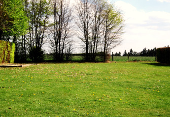 Prato verde con fiori e alberi sullo sfondo, fotografato presso lo Chalet Orange in Belgio in una giornata di sole.