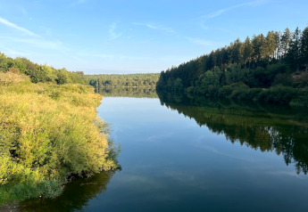 Fiume tranquillo con alberi verdi e cielo blu presso Chalet «Orange» in Belgio, riflesso nell’acqua.