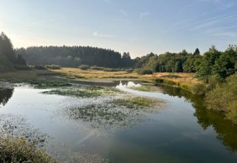 Vista su un lago tranquillo vicino allo Chalet «Orange» in Belgio, circondato da foreste e cielo sereno.