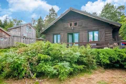 Rustic wooden cabin at Au Coeur du Pêcheur lodge in Belgium, surrounded by lush green ferns and trees.