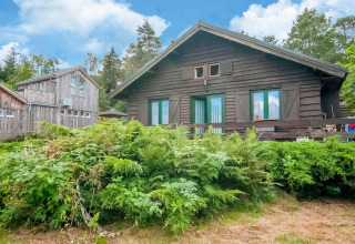 Rustic wooden cabin at Au Coeur du Pêcheur lodge in Belgium, surrounded by lush green ferns and trees.
