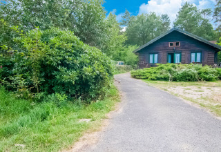 Pathway leading to a wooden lodge at Au Coeur du Pêcheur, surrounded by lush greenery and trees in Belgium.