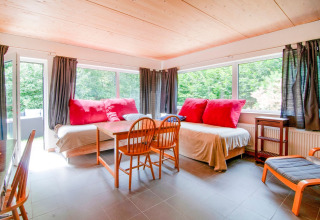 Bright lounge at Au Coeur du Pêcheur lodge in Belgium with big windows, wooden chairs, and forest view.