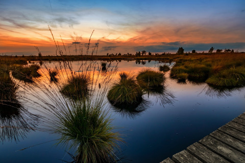 Sunset at the Au Coeur du Pêcheur lodge in Belgium, featuring water, grass tufts, and a wooden walkway.