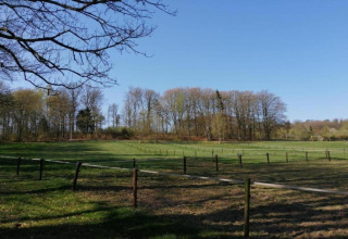 Grüne Wiese und Bäume unter klarem Himmel beim Le Chalet Chaleureux B in Belgien, ruhige Naturansicht.