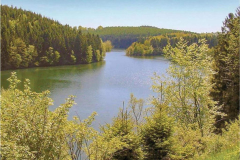 Ausblick auf einen See inmitten bewaldeter Hügel, aufgenommen von Le Chalet Chaleureux B in Belgien.