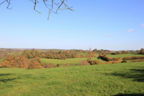 Blick auf grüne Wiesen und herbstliche Bäume vom Le Chalet Chaleureux B in Belgien unter blauem Himmel.