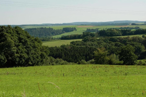 Blick auf sanfte grüne Hügel und Wälder vom Le Chalet Chaleureux B in Belgien an einem sonnigen Tag.