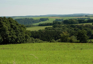 Blick auf sanfte grüne Hügel und Wälder vom Le Chalet Chaleureux B in Belgien an einem sonnigen Tag.