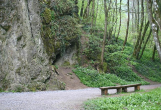 Waldweg bei Le Chalet Chaleureux B in Belgien, mit steiniger Klippe, Bank und dichtem Grün.