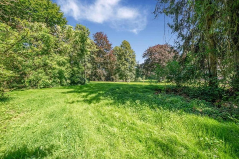 Grüne Wiese mit Bäumen im Hintergrund bei der Lodge Le Chalet Chaleureux B in Belgien an einem sonnigen Tag.