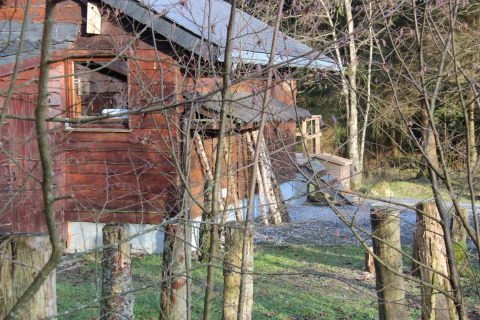 Het houten chalet 'La Cabane' in België, omgeven door bomen en palen, grasveld in zonlicht ervoor