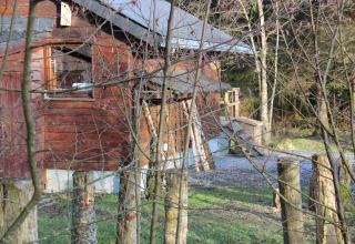 Het houten chalet 'La Cabane' in België, omgeven door bomen en palen, grasveld in zonlicht ervoor