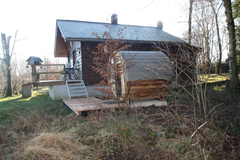 Buitenaanzicht van chalet 'La Cabane' in België met houten terras, tuin en omliggende bomen.