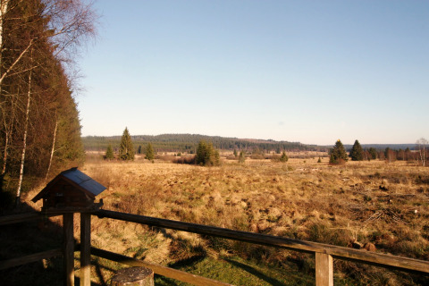 Vista dal chalet La Cabane in Belgio su un campo aperto, alberi sparsi e cielo limpido.