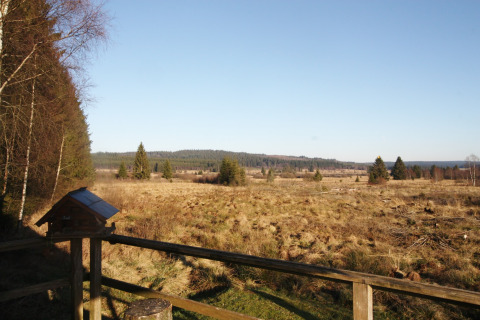 Uitzicht vanaf chalet La Cabane in België over een open veld, bomen en heldere lucht.