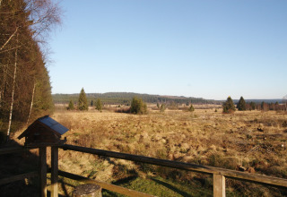 Uitzicht vanaf chalet La Cabane in België over een open veld, bomen en heldere lucht.