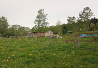 Grønt landskab med et træhus kaldet La Cabane og bistader i Belgien, omgivet af blomstrende marker.