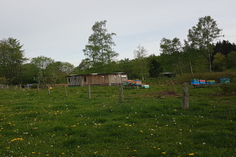 Belgisch platteland met chalet La Cabane en bijenkasten, omgeven door groene weilanden en bomen.
