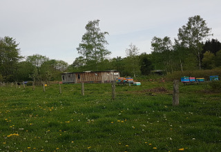 Belgisch platteland met chalet La Cabane en bijenkasten, omgeven door groene weilanden en bomen.