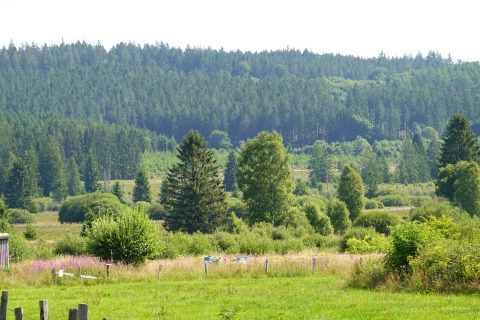 Groene velden en beboste heuvels bij chalet La Cabane in België, vastgelegd op een zonnige dag.