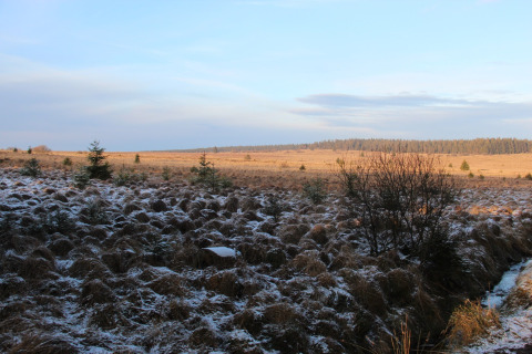 Uitzicht vanaf chalet La Cabane in België, met licht besneeuwd landschap, weilanden en bos op de achtergrond.