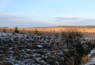 Uitzicht vanaf chalet La Cabane in België, met licht besneeuwd landschap, weilanden en bos op de achtergrond.