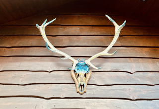 Decoratief hertengewei met blauwe accenten aan een houten wand in chalet La Cabane in België.