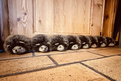 Rij knuffel-egels in chalet La Cabane in België, op een tegelvloer voor een houten deur.