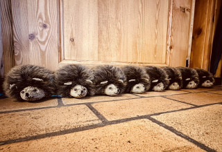 Rij knuffel-egels in chalet La Cabane in België, op een tegelvloer voor een houten deur.