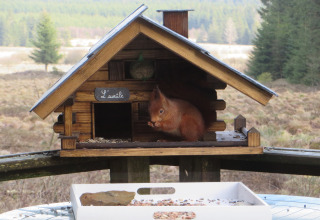Een eekhoorn zit in een houten huisje met het bordje 'L'écureuil' bij 'La Cabane' in België, bosrijke omgeving.