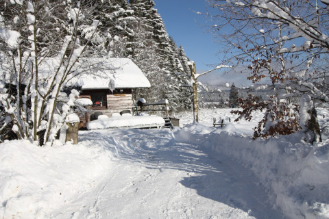Met sneeuw bedekt houten chalet bij La Cabane in België, omgeven door besneeuwde bomen en winterlandschap.