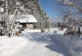 Met sneeuw bedekt houten chalet bij La Cabane in België, omgeven door besneeuwde bomen en winterlandschap.