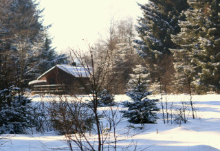 Chalet in legno 'La Cabane' in Belgio, circondato da alberi innevati e un paesaggio invernale tranquillo.
