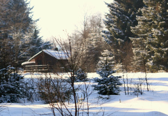 Træchalet kaldet 'La Cabane' i Belgien, omgivet af sneklædte grantræer og vinterlandskab.