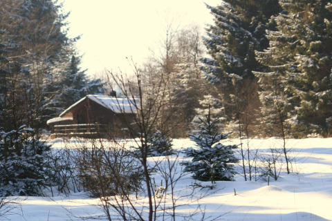 Houten chalet 'La Cabane' in België, omgeven door besneeuwde bomen en een vredig winterlandschap.