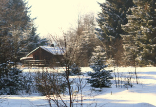 Houten chalet 'La Cabane' in België, omgeven door besneeuwde bomen en een vredig winterlandschap.