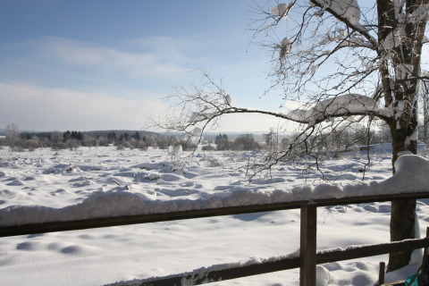 Uitzicht vanuit chalet La Cabane in België over een besneeuwd landschap met bomen en blauwe lucht.