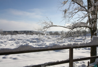 Uitzicht vanuit chalet La Cabane in België over een besneeuwd landschap met bomen en blauwe lucht.