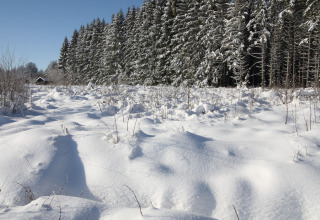 Sneeuwlandschap bij chalet La Cabane in België, met bos en hut onder een helderblauwe winterlucht.