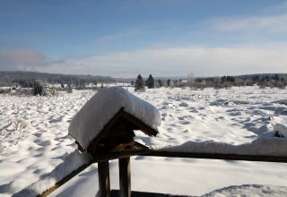 Vista del paesaggio innevato dallo chalet La Cabane in Belgio, con casetta per uccelli coperta di neve avanti.